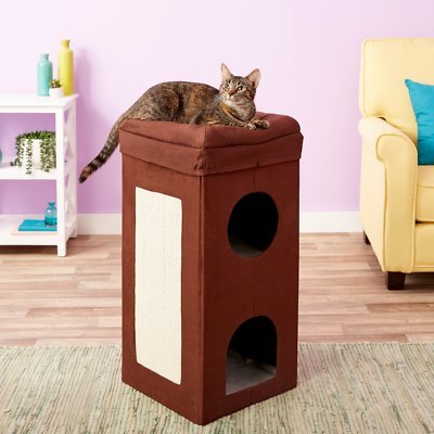 MidWest Curious Cube Condo Cat Bed - Chewy.com