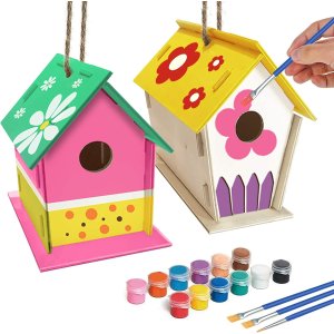 ORIENTAL CHERRY Crafts for Kids Ages 4-8 - 2Pack DIY Bird House Kit