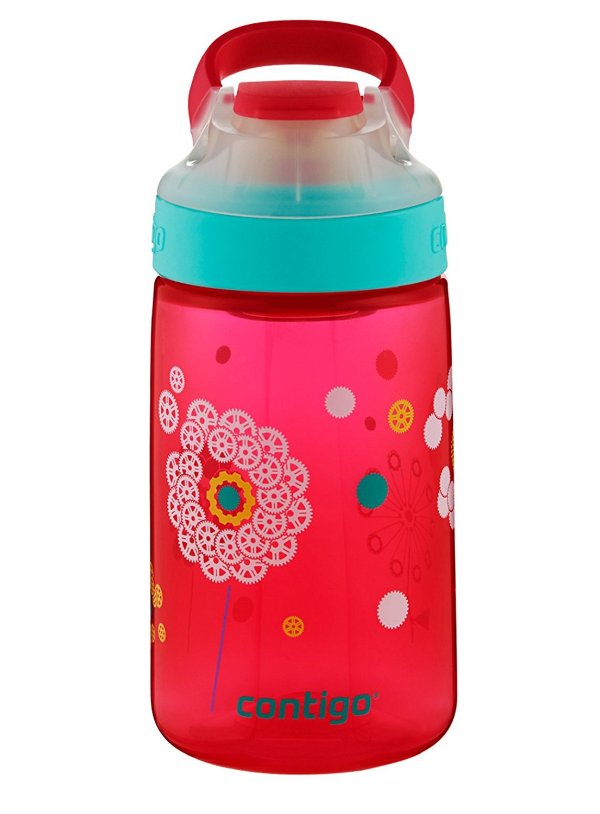 AUTOSEAL Gizmo Sip Kids Water Bottle, 14 oz, Thistle Petals