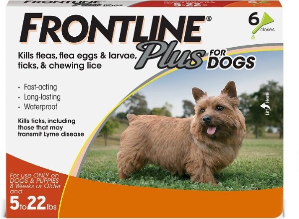 Plus Flea & Tick Small Breed Dog Treatment, 5- 22 lbs, 6 treatments - Chewy.com