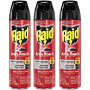 Amazon.com: Raid Ant &amp; Roach Killer Lemon Scent, 17.5 OZ (2): Health &amp; Personal Care