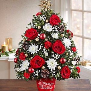 Christmas Trees, Wreaths and Evergreens @ 1800-flowers.com