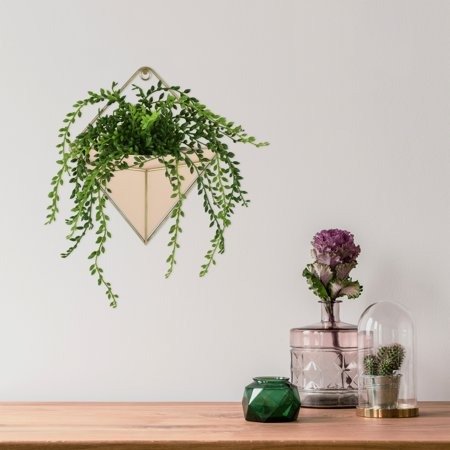 壁挂植物花盆
