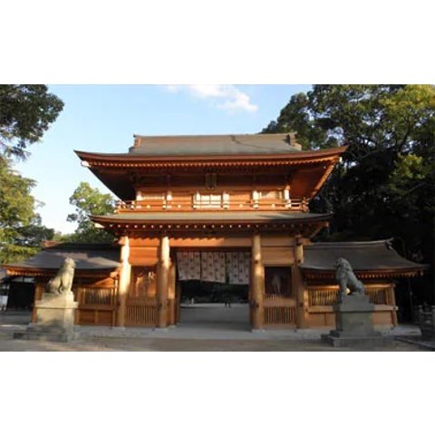 Japan Cruise 