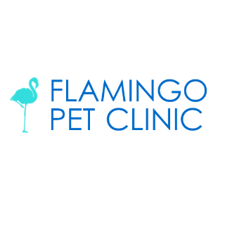 Flamingo Pet Clinic - 拉斯维加斯 - Las Vegas