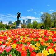 波士顿公共花园 | Boston Public Garde