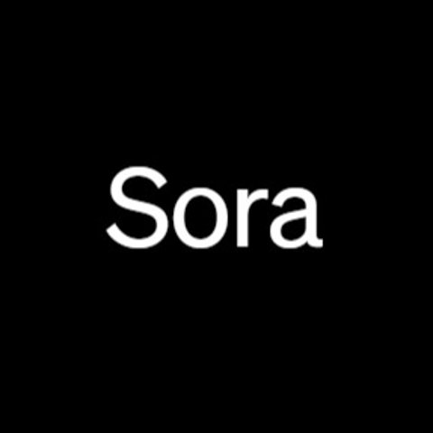 1分钟一镜到底OpenAI 新王炸 —— Sora AI视频生成软件