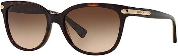 Sunglasses HC 8132 529113 Dark Tortoise