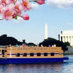 华盛顿樱花观赏游船 1小时观光巡航