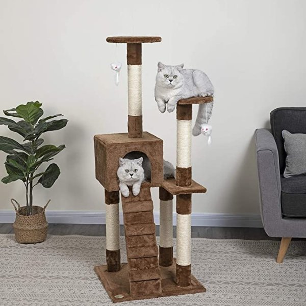 Cat Tree Furniture