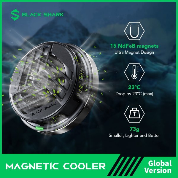 Magnetic Cooler