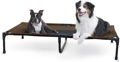 K&H PET PRODUCTS Original Pet Cot Elevated Pet Bed, Chocolate, X-Large - Chewy.com