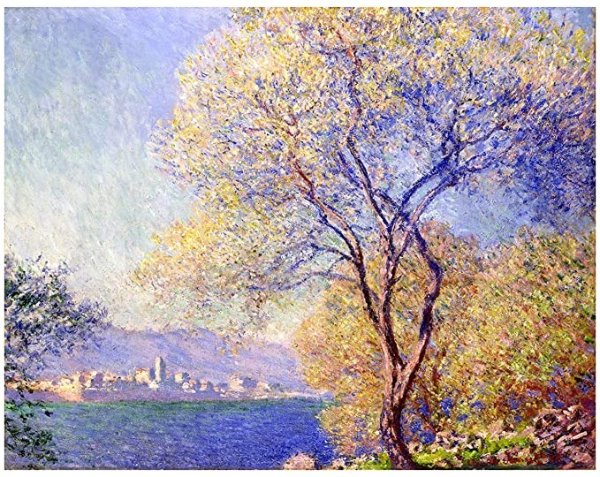 LFRINDS Monet's Paint by Numbers for Adults DIY Oil Paint by Numbers Kit for Beginners with Wrinkle-Free Linen Canvas, Eco-Friendly Pigment, Nylon Brush, 16x20 inch (Salis Garden)