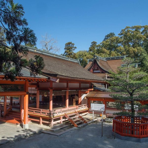 日本福冈 神社之旅