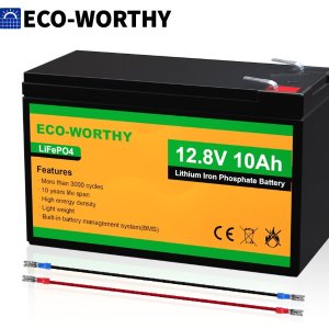 低至8折Eco-Worthy 磷酸铁锂储能电池 多规格可选