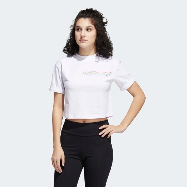 Pride Linear Cropped Tee