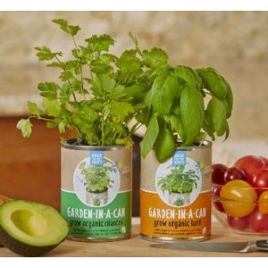 Back To The Roots Garden in a Can Grow Organic Cilantro, 2 Count @ Amazon