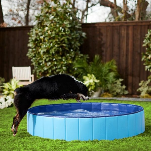 FRISCO Outdoor Dog Swimming Pool, Blue, XX-Large - Chewy.com