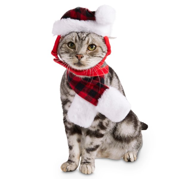Mrs. Claus Is Coming Red Cat Costume Set | Petco