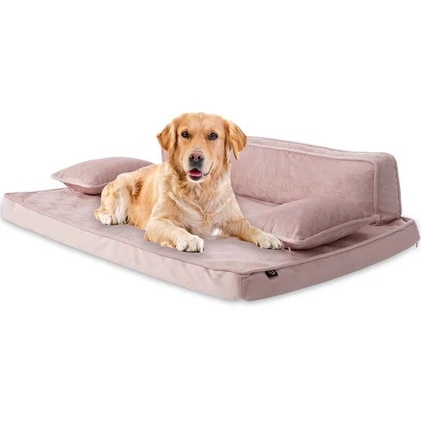 Braunste Orthopedic Dog Sofa