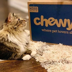 Chewy Early Black Friday Deals