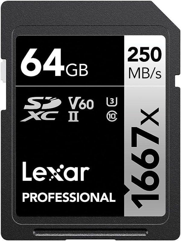 Professional 1667x 64GB SDXC UHS-II Memory Card, C10, U3, V60, Full-HD & 4K Video, Up To 250MB/s Read, for Professional Photographer, Videographer, Enthusiast (LSD64GCBNA1667)