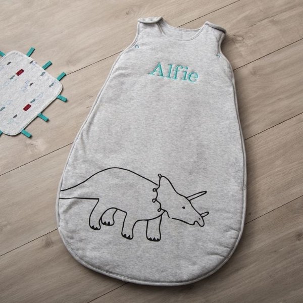 Personalized Gray Dino Sleeping Bag