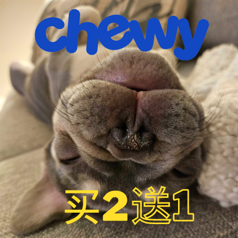 Buy 2, Get 3rd FREEChewy Select Toys, Clothing & More