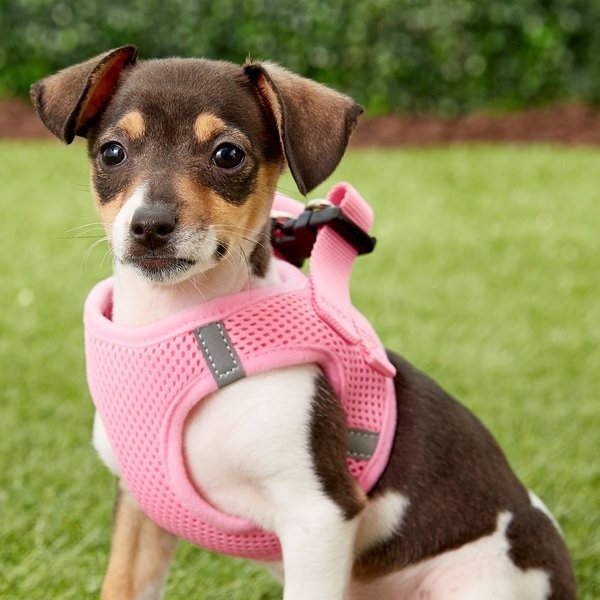 Small Breed Soft Vest Step In Back Clip Dog Harness