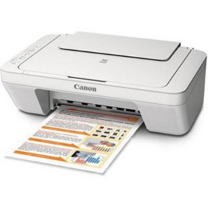 Canon MG2520 All in one Print, Copy, Scan Inkjet Printer