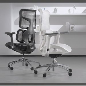 SIHOO Doro S100 高端人体工学办公椅 2色可选