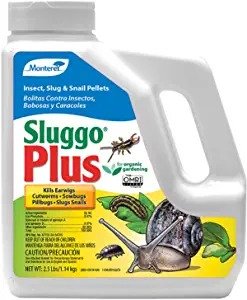 Sluggo Plus 鼻涕虫/蜗牛杀虫剂, 2.5 lb