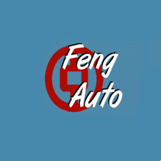 亚洲车行 - Feng Auto Sales - 芝加哥 - Chicago