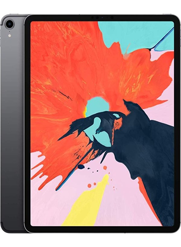 iPad Pro (12.9-inch, Wi-Fi + Cellular, 64GB) - Space Gray (Latest Model)