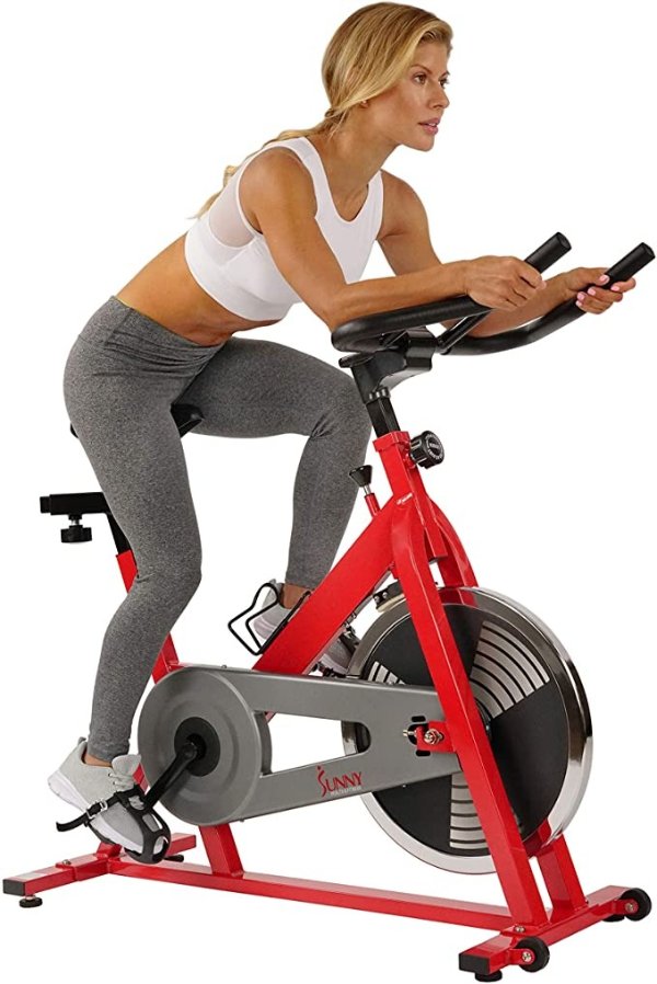 Stationary Indoor Cycling Exercise Bike - SF-B1001/S