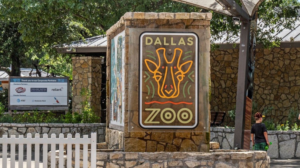 只需$1！2023达拉斯动物园Dollar Days特价门票日回归