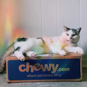 Chewy Selected Pet Food on Sale
