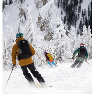 Backcountry 精选滑雪装备促销