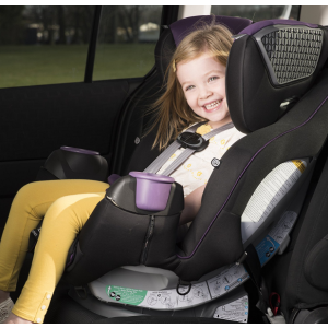Evenflo SafeMax Platinum All-in-One Convertible Car Seat, Madalynn