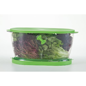 Prep Solutions by Progressive Lettuce Keeper Produce Storage Container, 4.7 Quarts