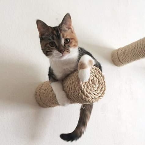 CatastrophiCreations Floating Sisal Post Step for Cats
