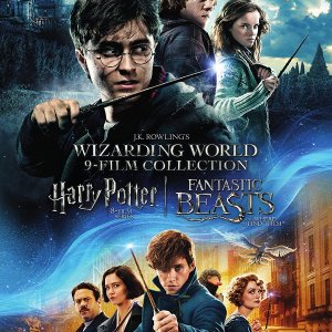 魔法世界电影合集：《哈利波特》系列 +《神奇动物在哪里》