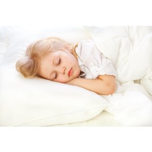  Dreamers Toddler Pillow with Pillow Case
