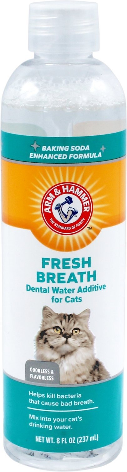 Fresh Breath Cat Dental Water Additive, 8-oz bottle - Chewy.com