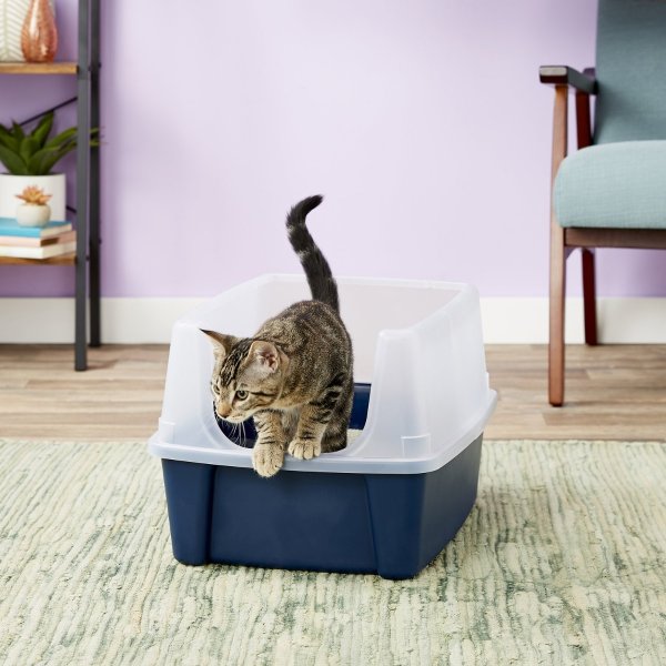Open Top Litter Box with Shield - Chewy.com