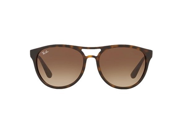 Men's 4170 Brown Sunglasses