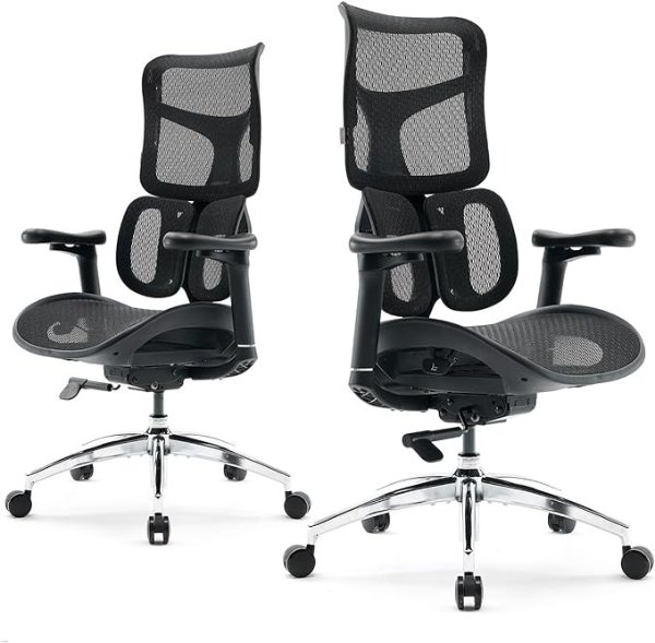 Doro S100 高端人体工学办公椅