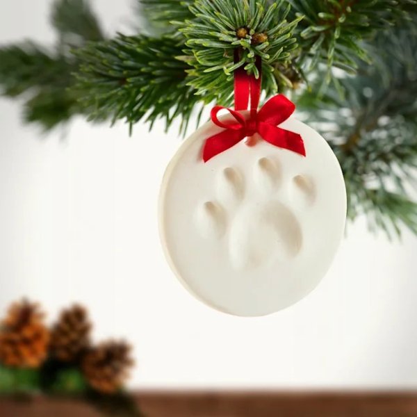 Pearhead Pawprints Holiday Ornament Impression Kit For Dogs or Cats | Petco
