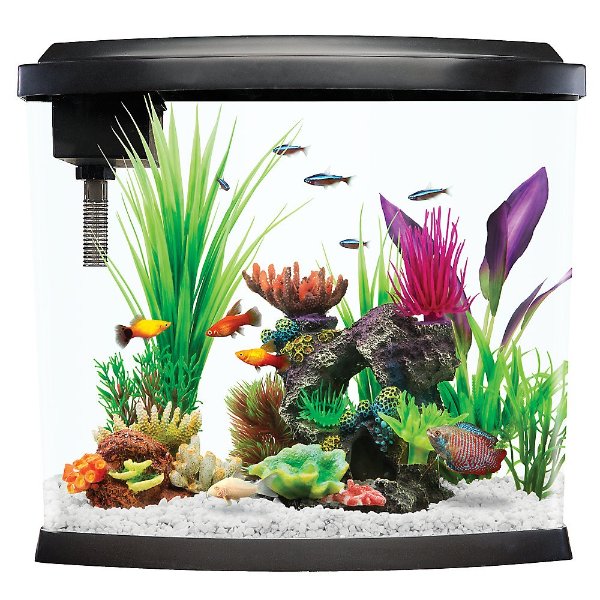 Top Fin® Split Bowfront Aquarium - 5 Gallon