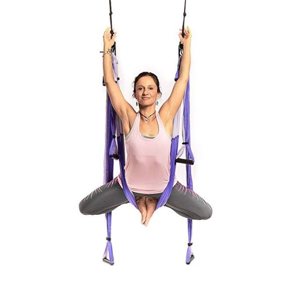 YOGABODY Yoga Trapeze [official] - Yoga Swing/Sling/Inversion Tool, Purple with Free DVD